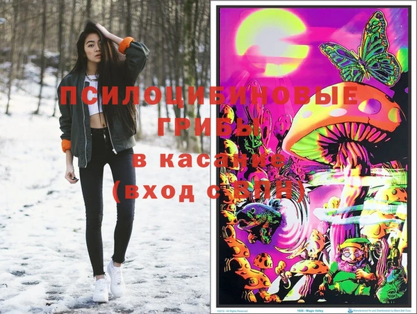гидропоника Каменногорск