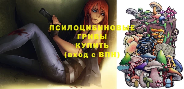 гидропоника Каменногорск