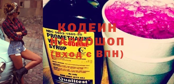 spice Каменка