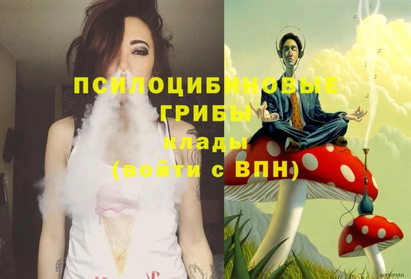 spice Каменка