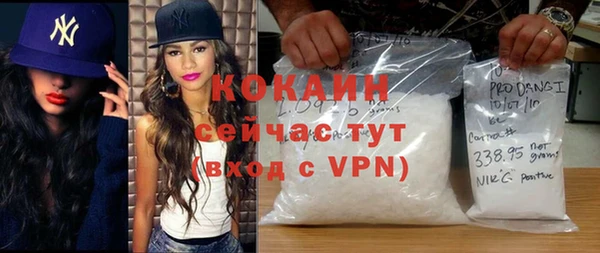 spice Каменка