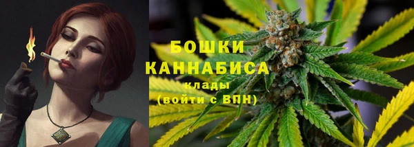 spice Каменка