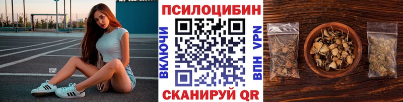 Купить закладки  Ивдель  Псилоцибиновые грибы MAGIC MUSHROOMS 