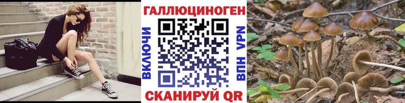 Псилоцибиновые грибы Magic Shrooms Ивдель